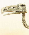 1/12th scale dodo skeleton Size: approx.60mm tall